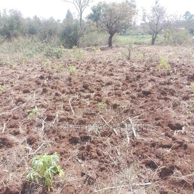 40by80 Commercial Plot in Kenol for Sale - thumbnail 3