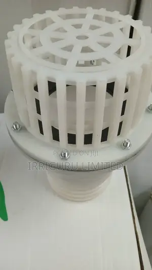 Check Valve