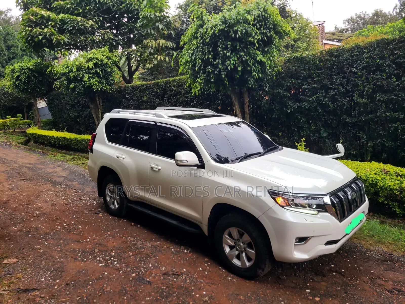 Car Hire Services