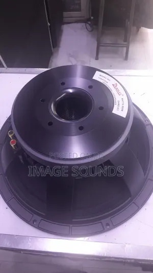 Naked Speaker Derwel Model 15ah1530 (800 Watts)