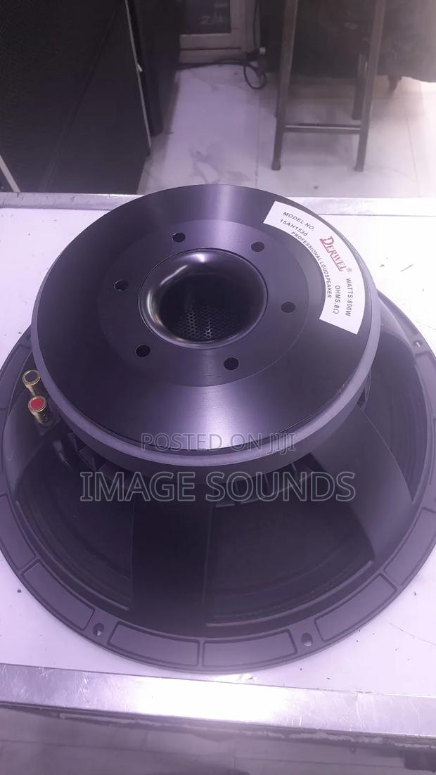 Naked Speaker Derwel Model 15ah1530 (800 Watts)