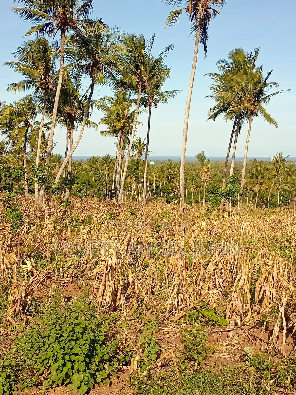 1 Acre for Sale Kikambala