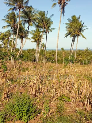 1 Acre for Sale Kikambala
