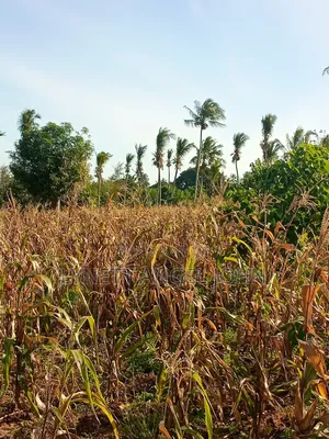 1 Acre for Sale Kikambala