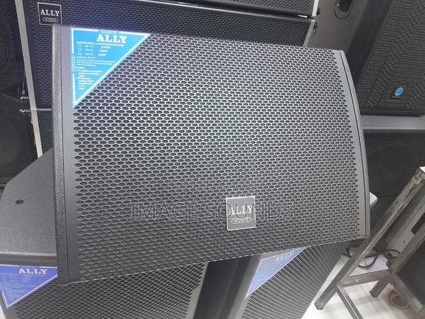 Ally Audio Monitor Speaker, Designed for Prof Stage Monitoring.