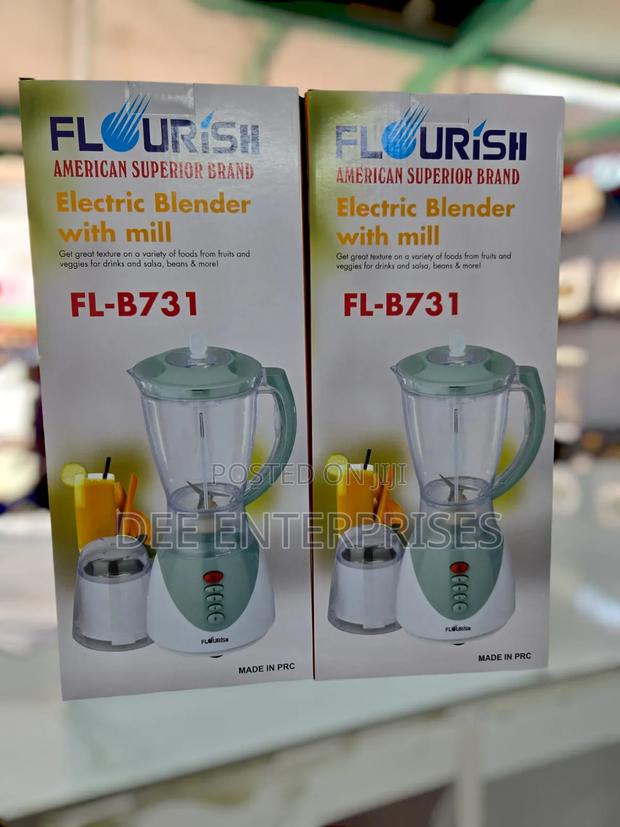 2in1 Flourish Blender - main view