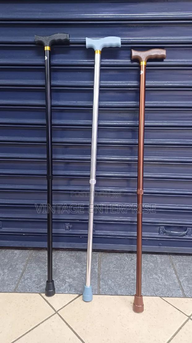 Adjustable Walking Stick - main view