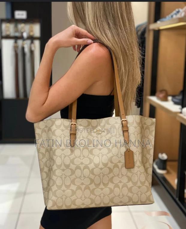 Coach Handbag - main view