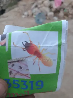 Pest Control Fumigation