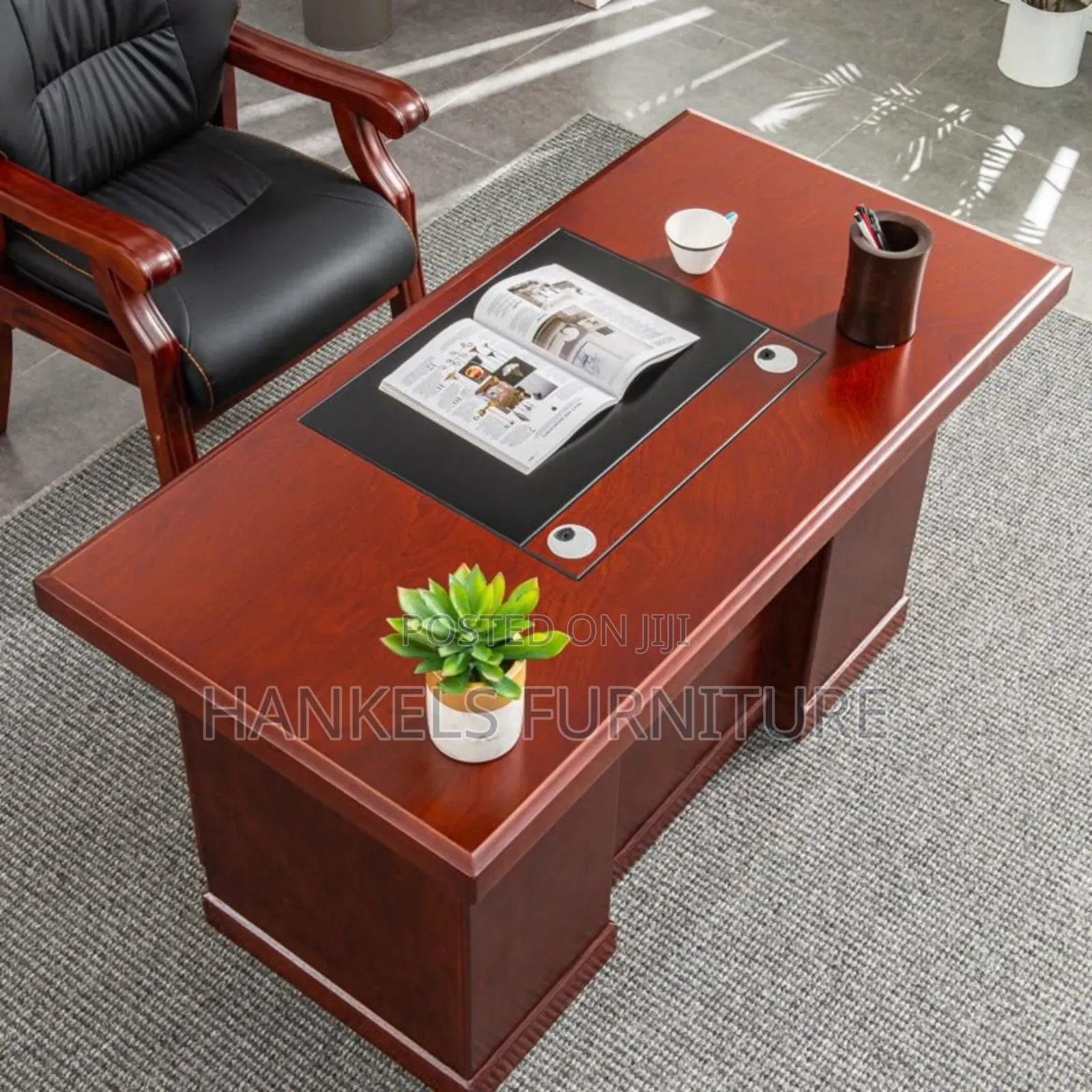 Software Developer Office Desk
