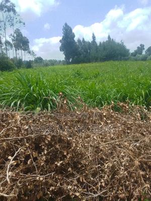 1⁄4( 100 by 100) Uplands - thumbnail 2