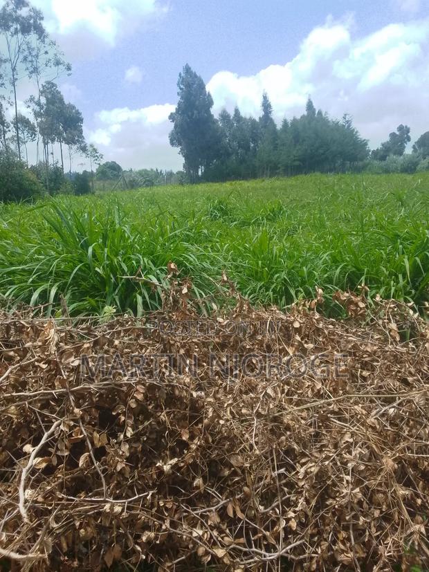 1⁄4( 100 by 100) Uplands - main view