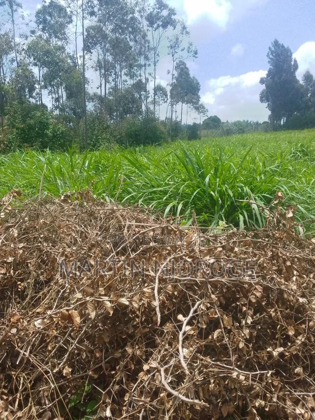 1⁄4( 100 by 100) Uplands - thumbnail 3