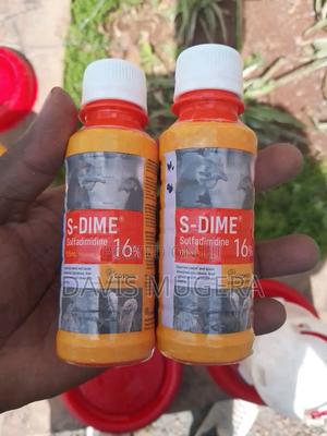 S-Dime Solution Antibiotics - 1 Litre - main view