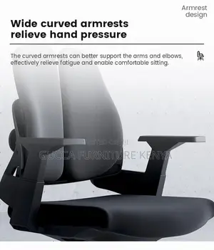 Office Chair: Adjustable Fabric Lumber Executive Desk Chair