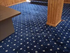 Cozy Wall to Wall Carpet Easy to Clean and Maintain
