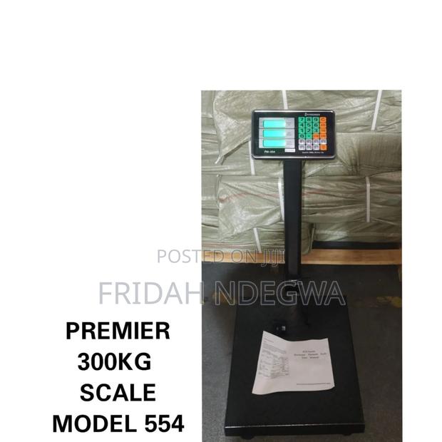 Premier 300kgs Scale - main view