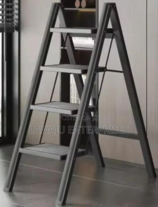 Folding Ladder