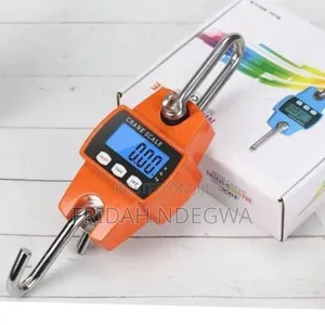 300kgs Mini Crane Scale