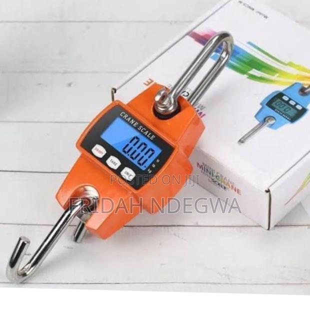 300kgs Mini Crane Scale - main view