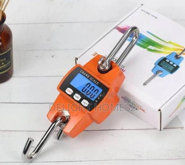 Mini Crane Scale_tyl