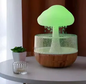 Rain Cloud Humidifier