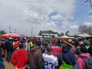Roadshows and Marketing