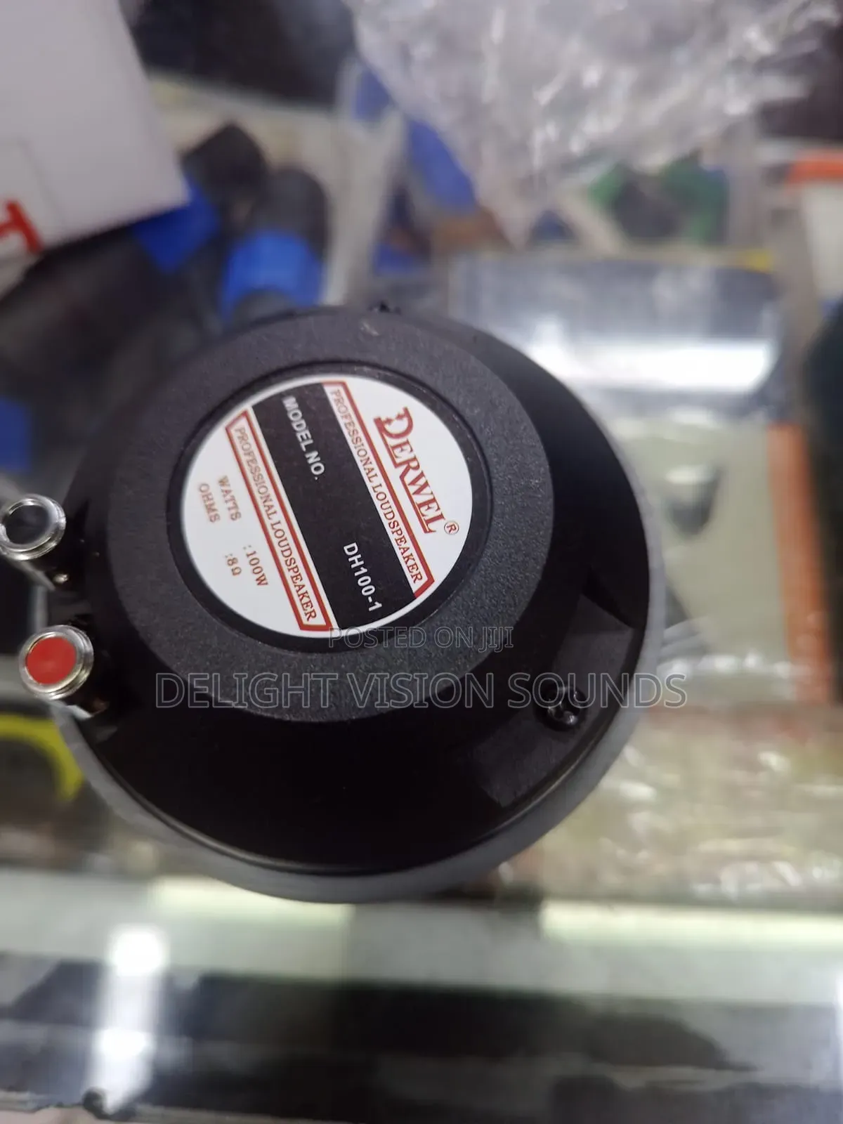 Original Derwel Speakers(Bass)