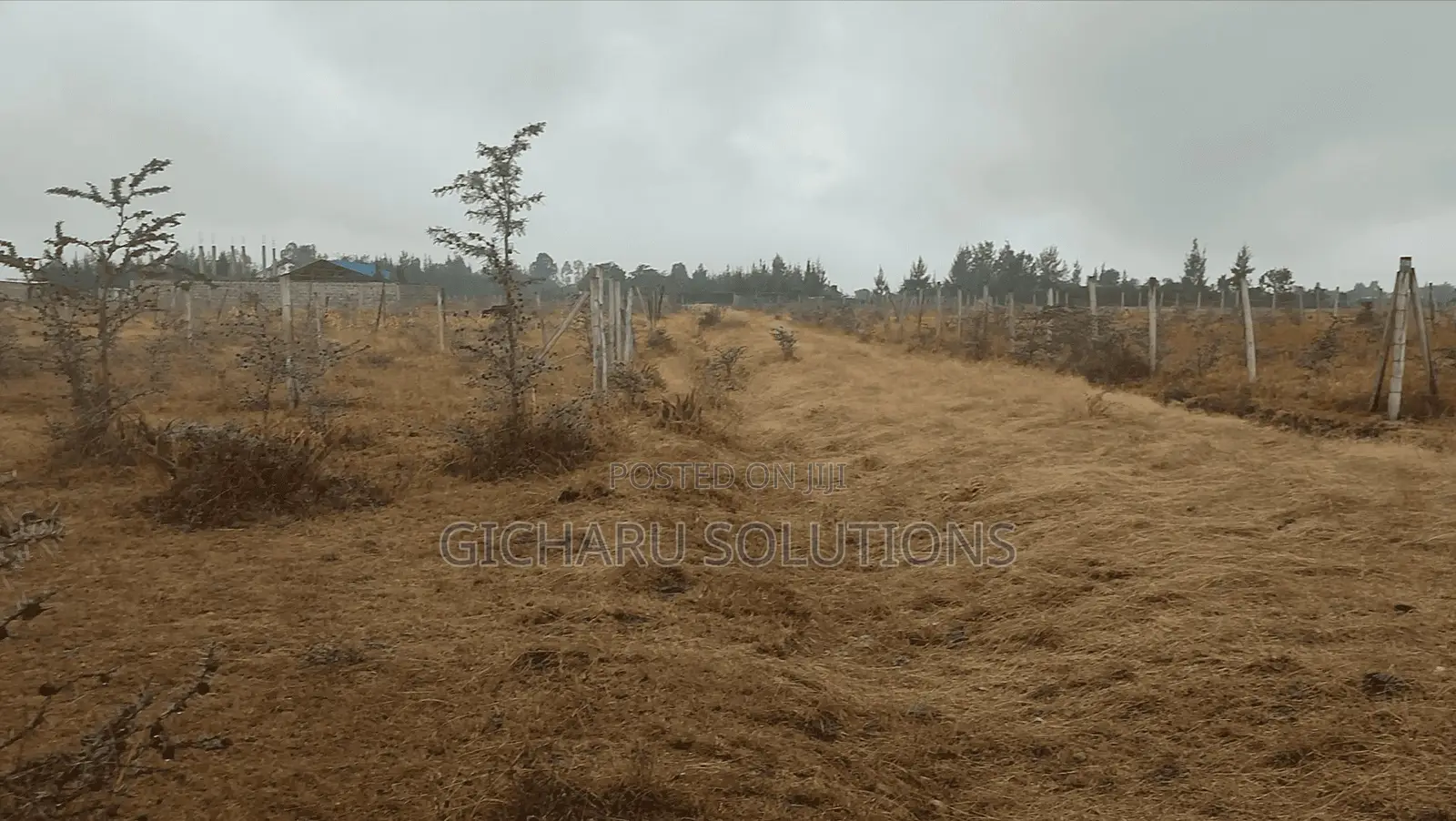 4 50x100 Plots in Koma 300m From Tarmac (Koma-Kenol Road)