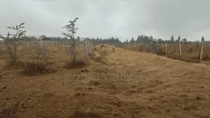 4 50x100 Plots in Koma 300m From Tarmac (Koma-Kenol Road)