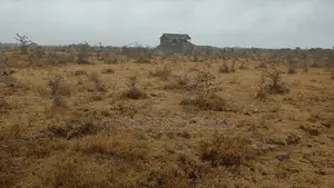 4 50x100 Plots in Koma 300m From Tarmac (Koma-Kenol Road)
