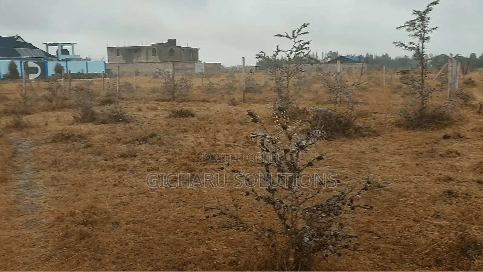 4 50x100 Plots in Koma 300m From Tarmac (Koma-Kenol Road)