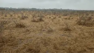 4 50x100 Plots in Koma 300m From Tarmac (Koma-Kenol Road)