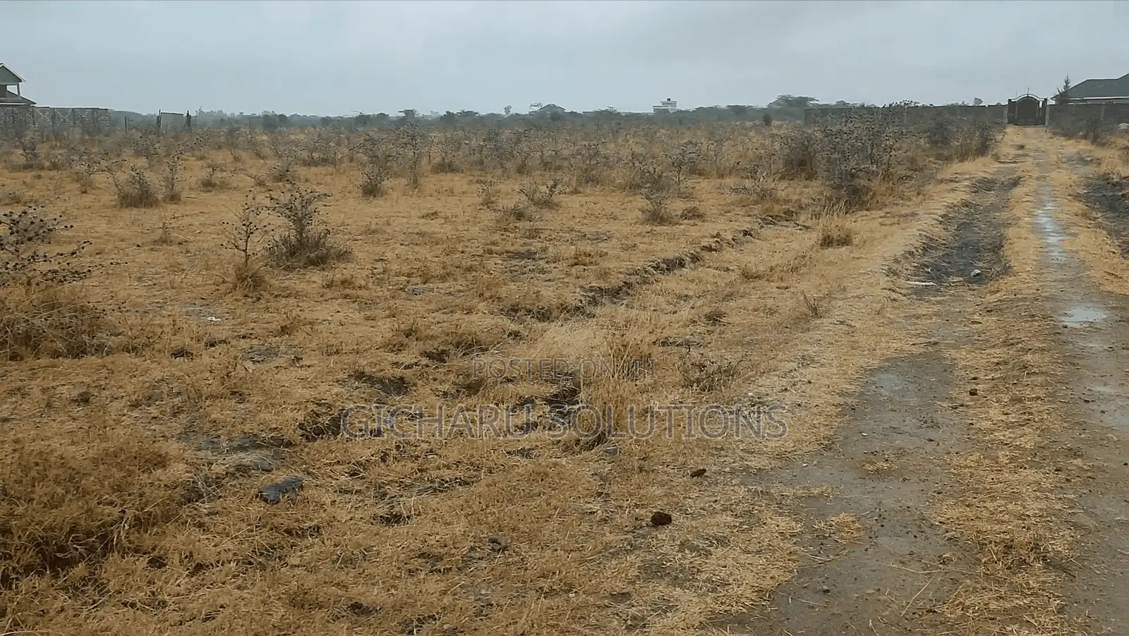 4 50x100 Plots in Koma 300m From Tarmac (Koma-Kenol Road)