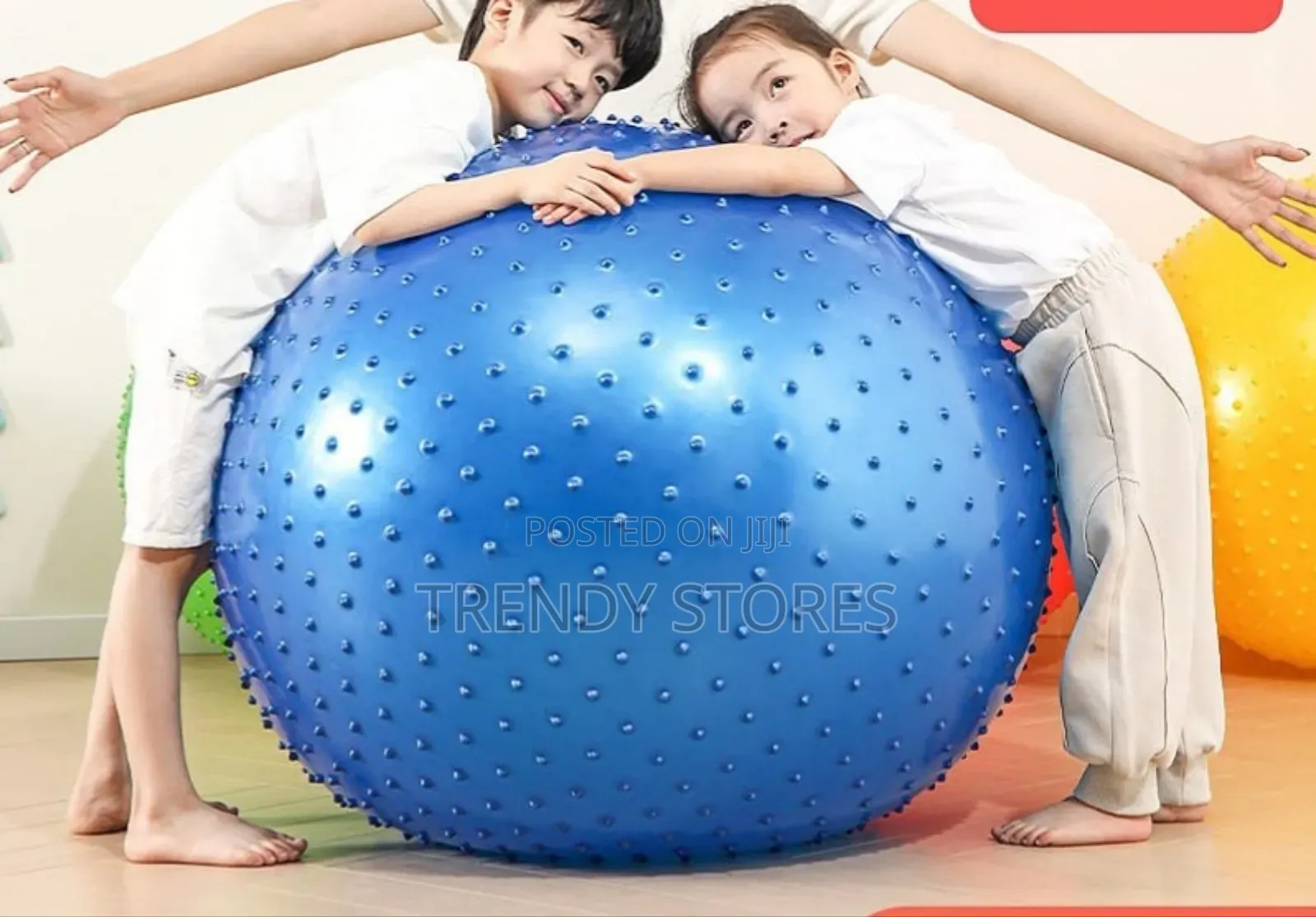 Exercise Ball