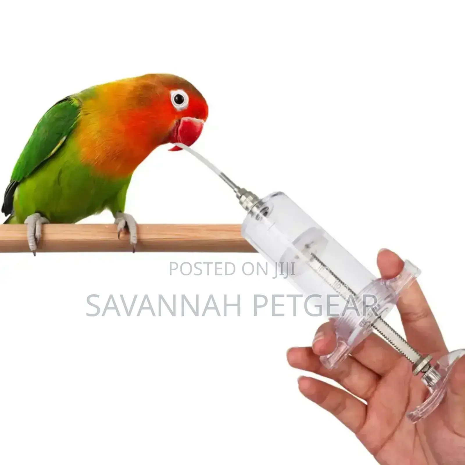 Parrot Baby Bird Feeding With a Needle Feeder (20ml, 50ml, 100ml)