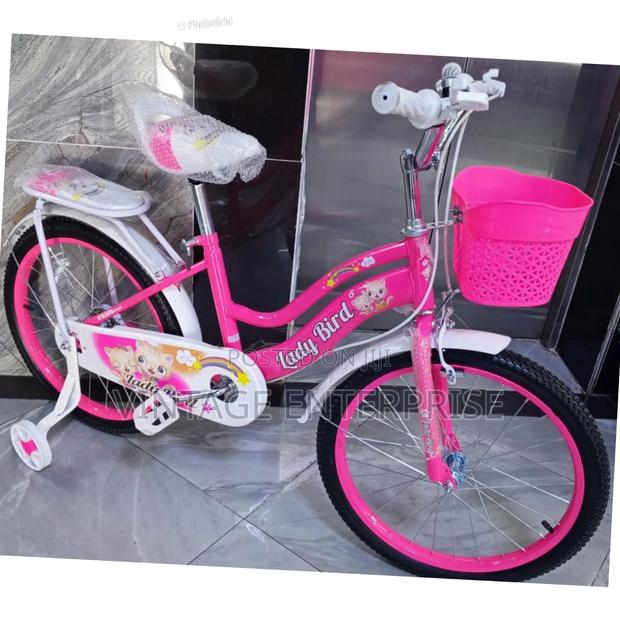 Size 20 " Lady Bird Bicycle - main view
