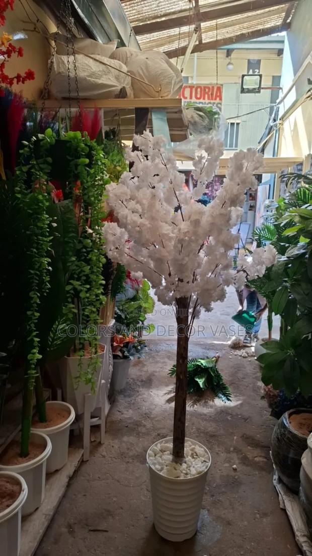 Long White Blossom Tree in Stock - main view