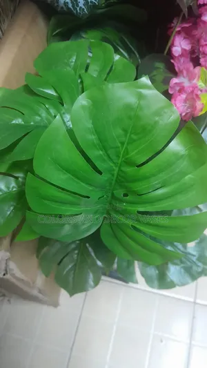 Green Plants Faux Variety