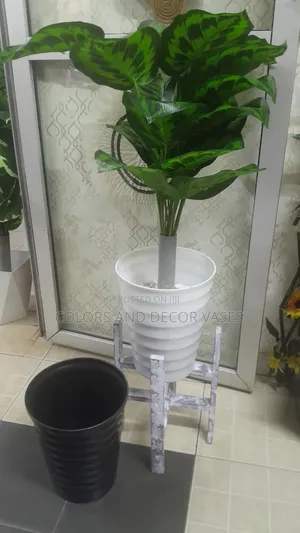 Black or White Vase on Stand and Plant