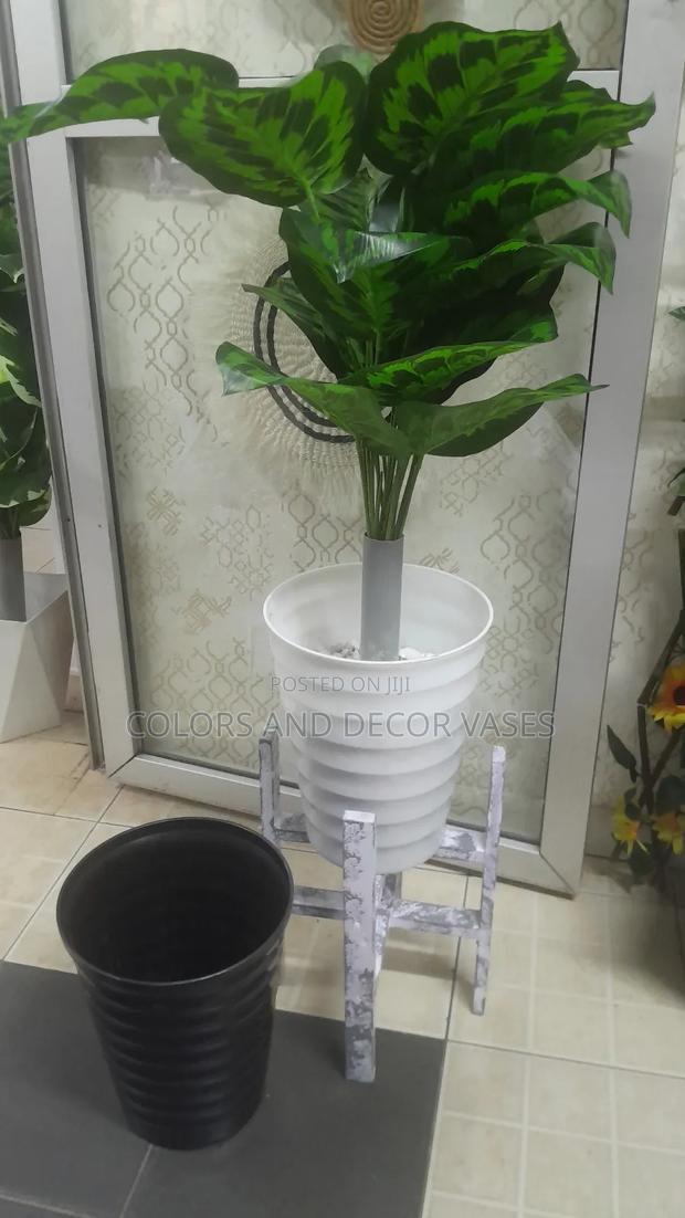 Black or White Vase on Stand and Plant - main view