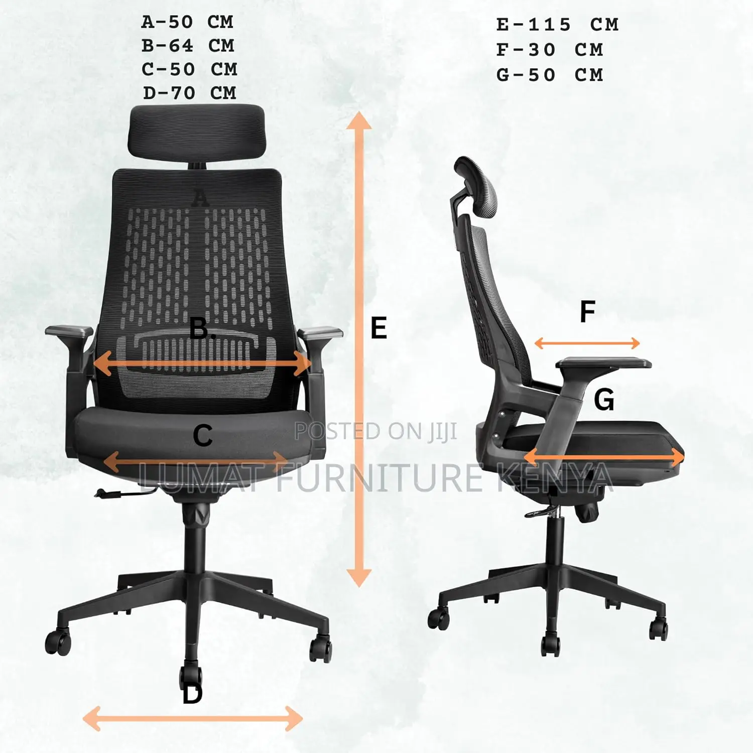 Executive Ergonomic Office Seat – Mesh Finish