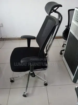 Orthopedic Reclining Executive Office Chair