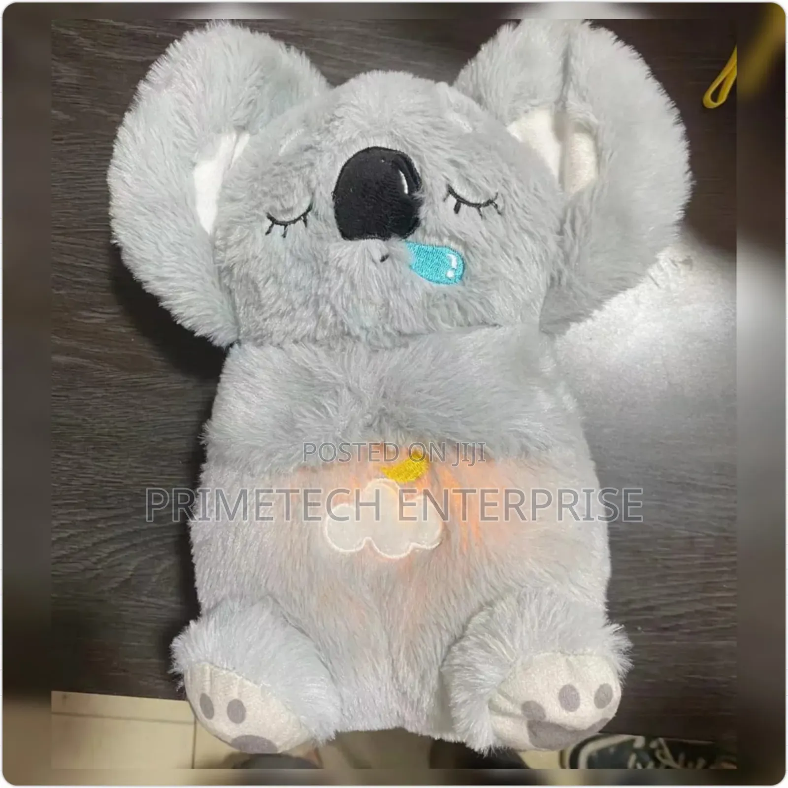 Sleeping Ted Bear
