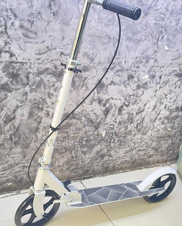 Foldable Scooter - main view