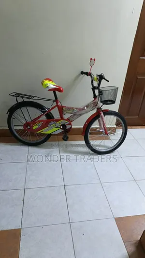 BMX Lion King Bike Size 20 Kids Bike