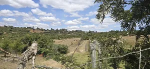 3 Acres for Sale in Mua Hills Kitanga Market
