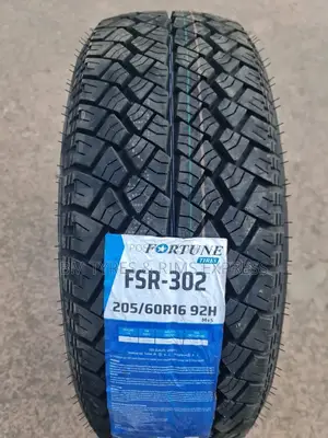 205 /60 R16 Fortune.