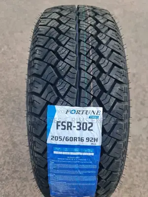 205 /60 R16 Fortune.