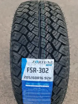 205 /60 R16 Fortune.